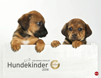 Hundekinder 2016