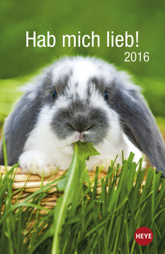 Kaninchen Hab mich lieb – 2016