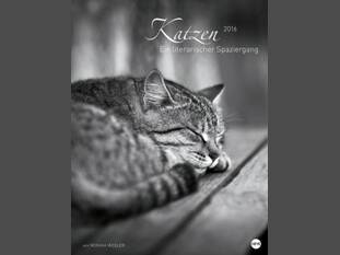Katzen – Ein literarischer Spaziergang 2016