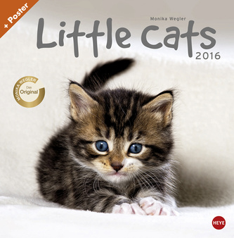 Little Cats 2016
