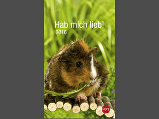 Meerschweinchen Hab mich lieb 2016