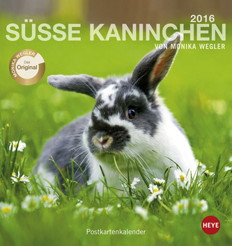 Süsse Kaninchen 2016