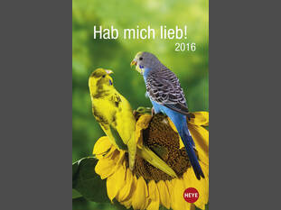 Wellensittiche – Hab mich lieb 2016