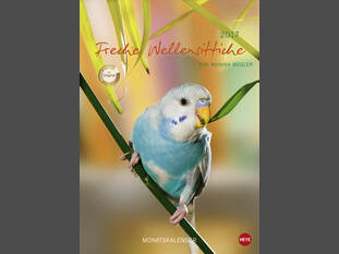 Freche Wellensittische A4 Format