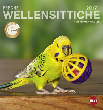 Freche Wellensittiche 2017