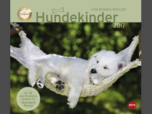 Hundekinder 2017 Maxi