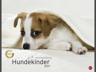 Hundekinder Posterkalender 2017