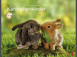 Kaninchenkinder Posterkalender 2017