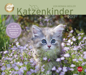 Katzenkinder 2017 Maxi