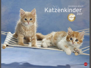 Katzenkinder Posterkalender 2017