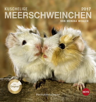 Kuschelige Meerschweinchen 2017