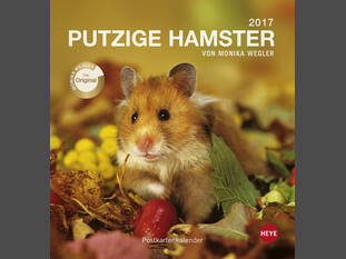 Putzige Hamster 2017