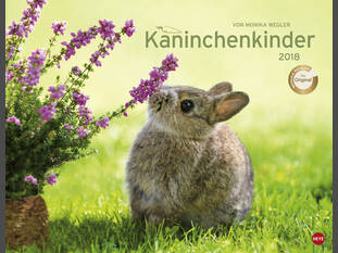 Kaninchenkinder 2018