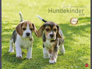 Hundekinder 2018