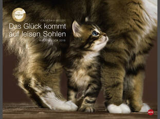 Das Glück kommt auf leisen Sohlen 2018