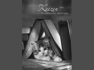 Katzen - Ein literarischer Spaziergang