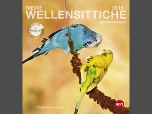 Freche Wellensittiche 2018