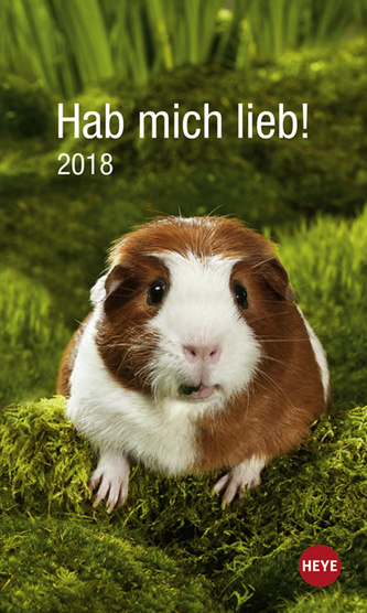 Hab mich lieb! Meerschweinchen 2018