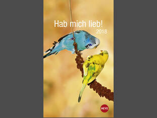 Hab mich lieb! Wellensittiche 2018