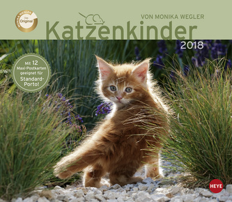 Katzenkinder 2018