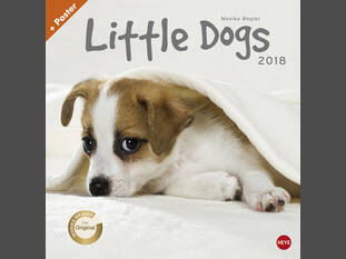 Little Dogs-Kalender 2018