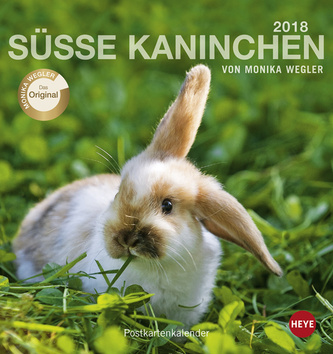 Süsse Kaninchen 2018