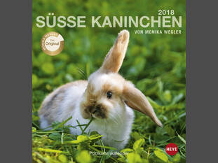 Süsse Kaninchen 2018