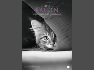 Ein literarischer Spaziergang 2019 