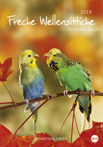 Freche Wellensittiche – A4 – 2019
