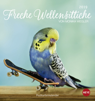 Freche Wellensittiche Postkartenkalender 2019