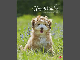 Hundekinder 2019