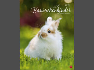 Kaninchenkinder 2019