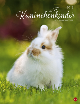 Kaninchenkinder 2019