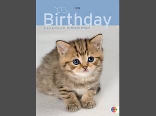 Katzenkinder Geburtstagskalender