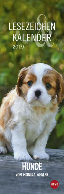 Lesezeichen & Kalender Hunde 2019