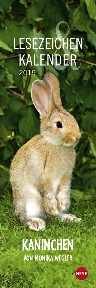 Lesezeichen &amp; Kalender Kaninchen 2019
