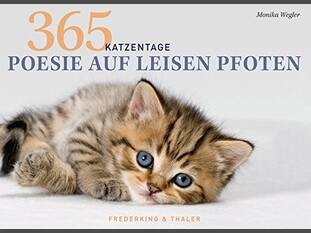Tischaufsteller – Poesie auf leisen Pfoten: 365 Katzentage (immerwärend)