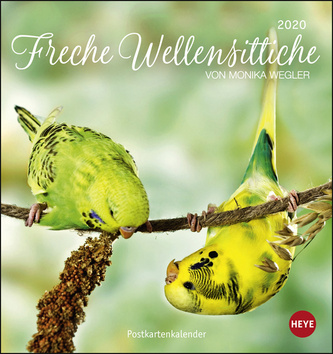 Freche Wellensittiche Postkartenkalender 2020