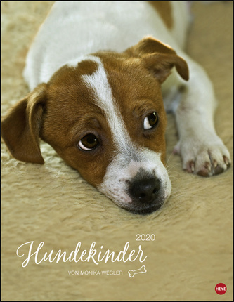 Hundekinder Posterkalender 2020