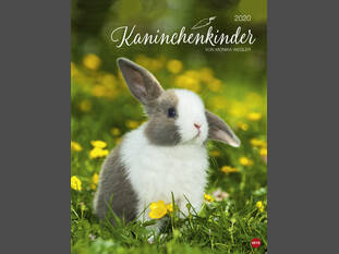 Kaninchenkinder Posterkalender 2020