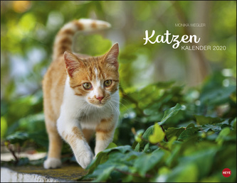 Katzenkalender 2020