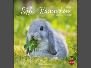 Süße Kaninchen Postkartenkalender 2020