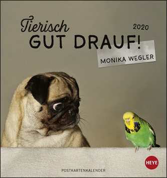 Tierisch gut drauf Postkartenkalender 2020