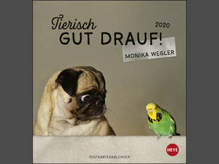 Tierisch gut drauf Postkartenkalender 2020