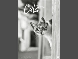 Wegler Cats Edition 2020