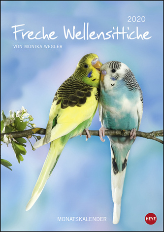 Wegler Wellensittiche A4 2020