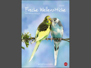 Wegler Wellensittiche A4 2020