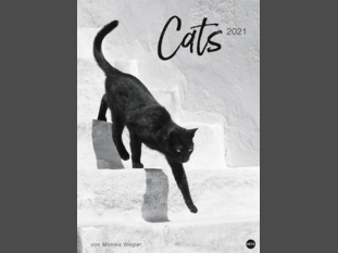Monika Wegler: Cats Edition 2021