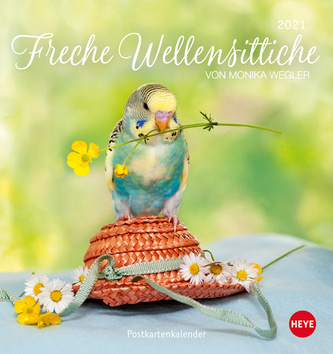 Freche Wellensittiche Postkartenkalender 2021