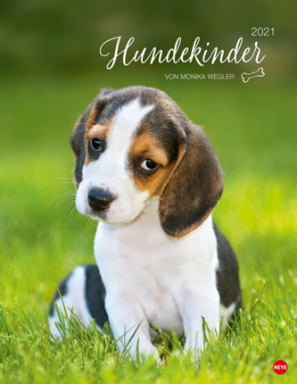Hundekinder Posterkalender 2021